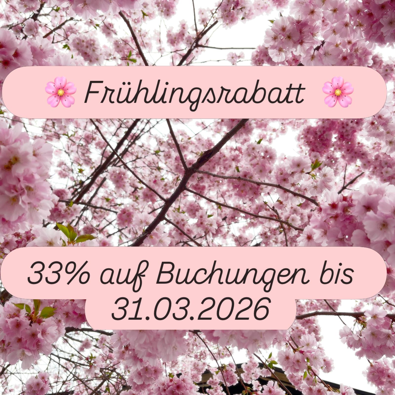 Frühlingsrabatt 33%